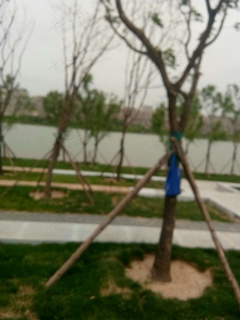 20190605_443729_1559688760938.jpg