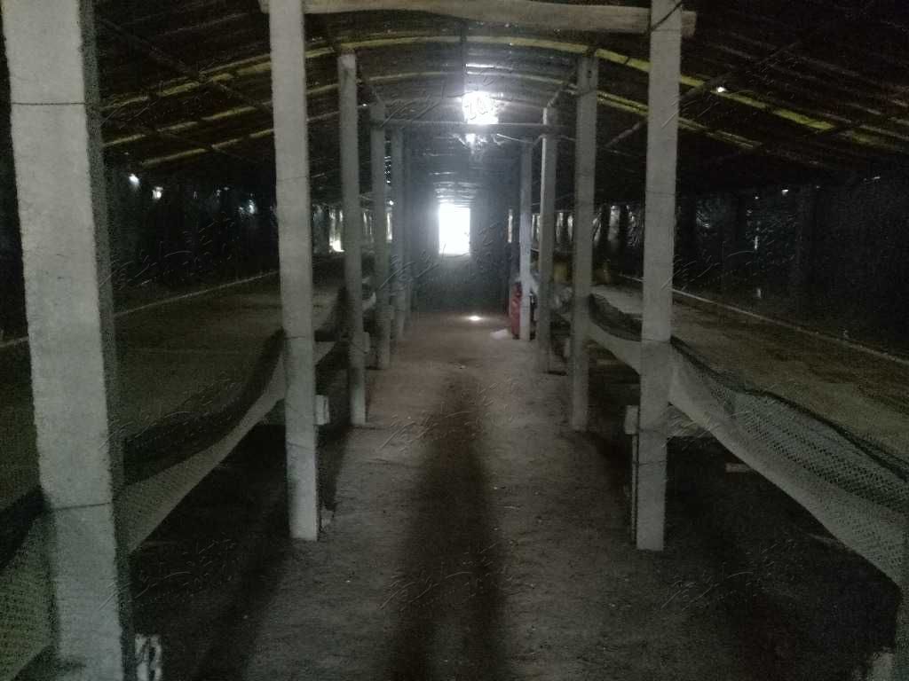IMG20190604081548.jpg