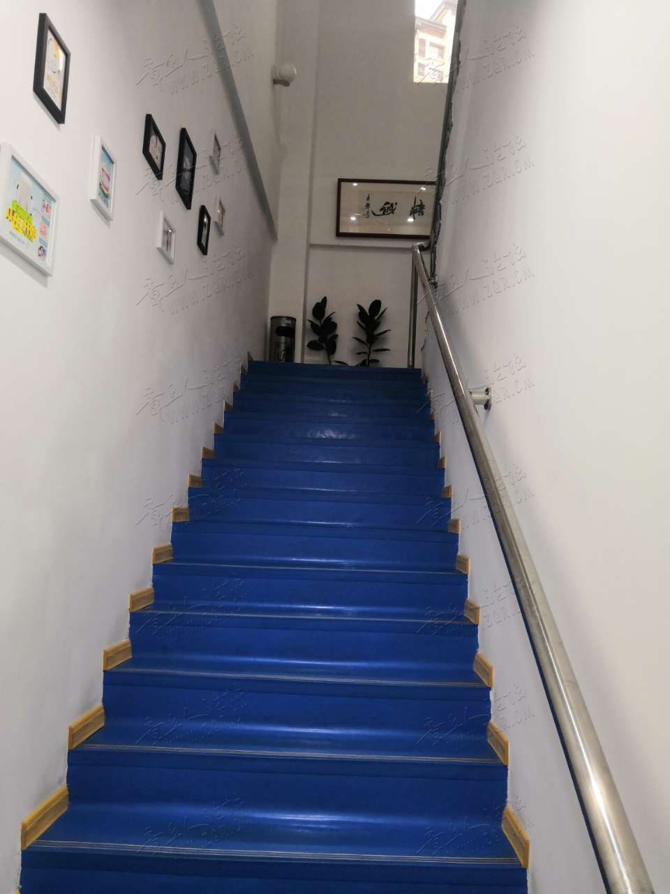 20190617_443557_1560728437654.jpg