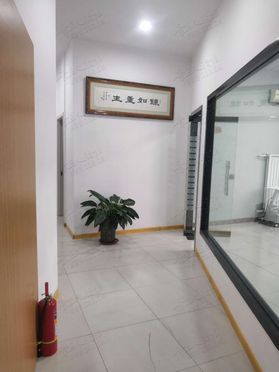 20190617_443557_1560728438726.jpg