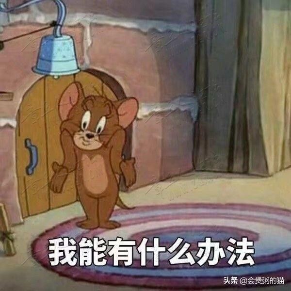 屌丝逆袭？白富美女友的新项目，年入1040万！！！-9.jpg