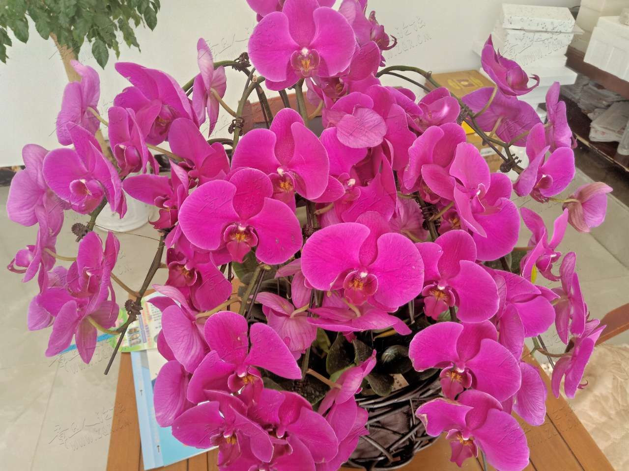 20190625_446632_1561443763839.jpg