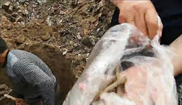 河北反腐英雄寻女续：家属又挖到骨头 未能在京做鉴定-1.jpg