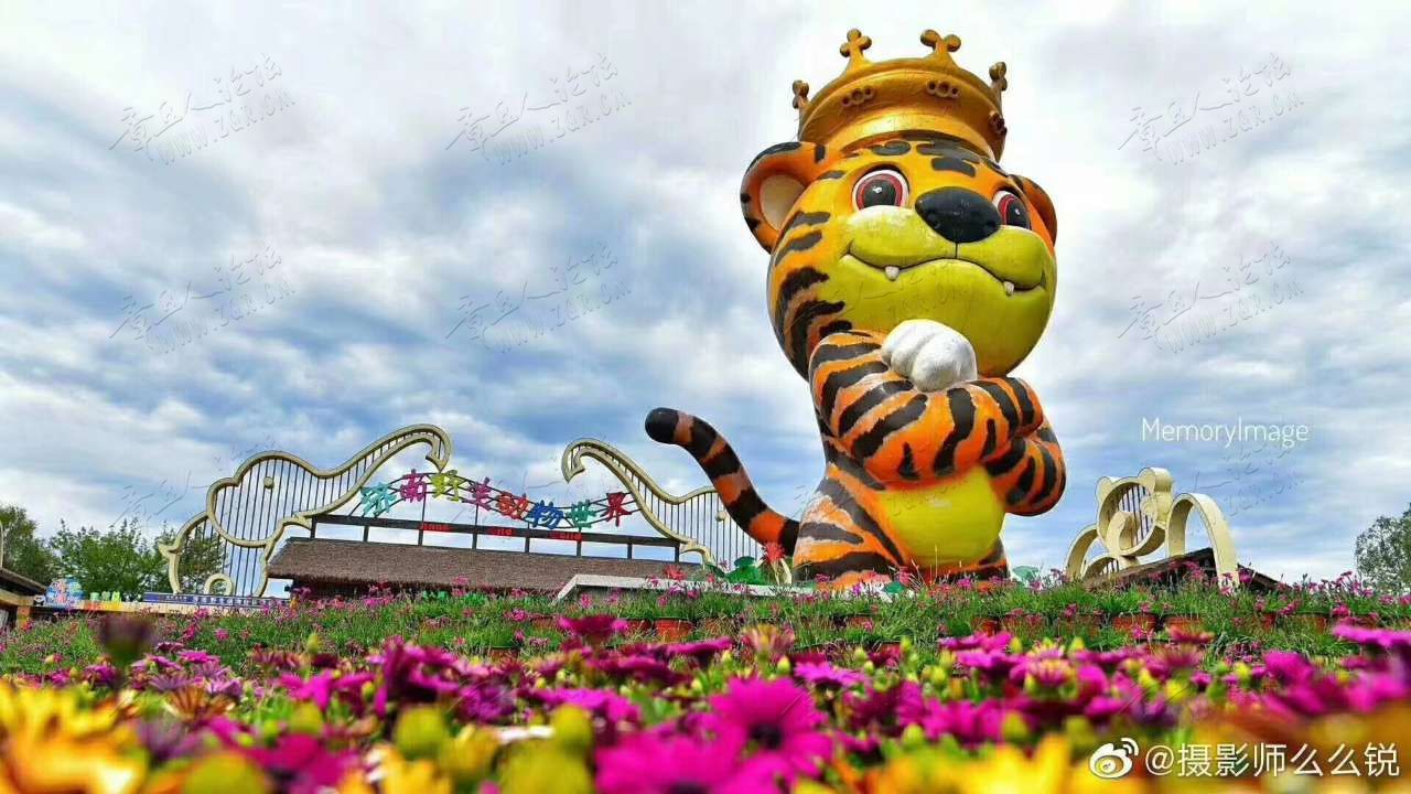 20190630_403171_1561880176208.jpg
