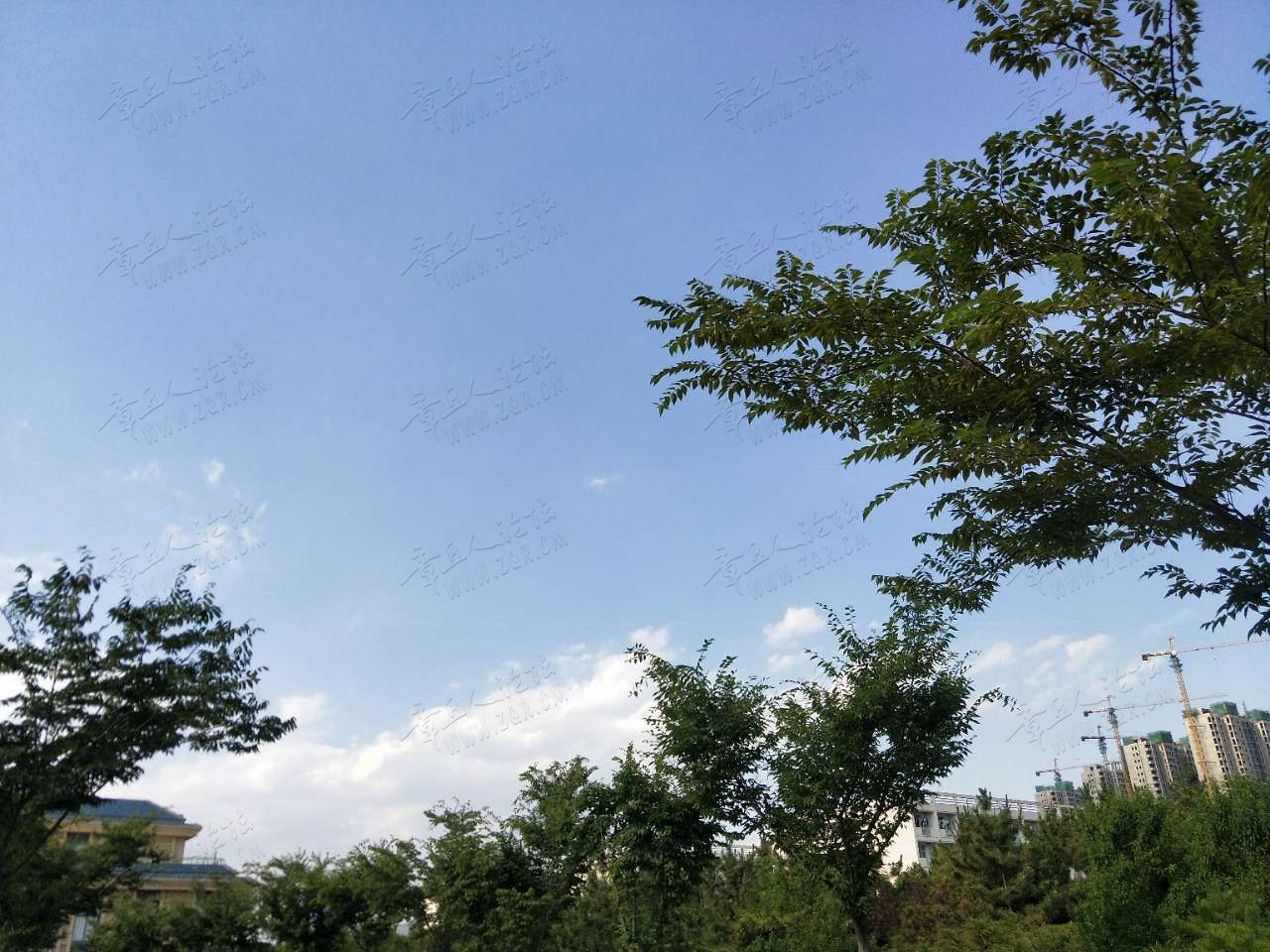 20190705_452424_1562290380626.jpg