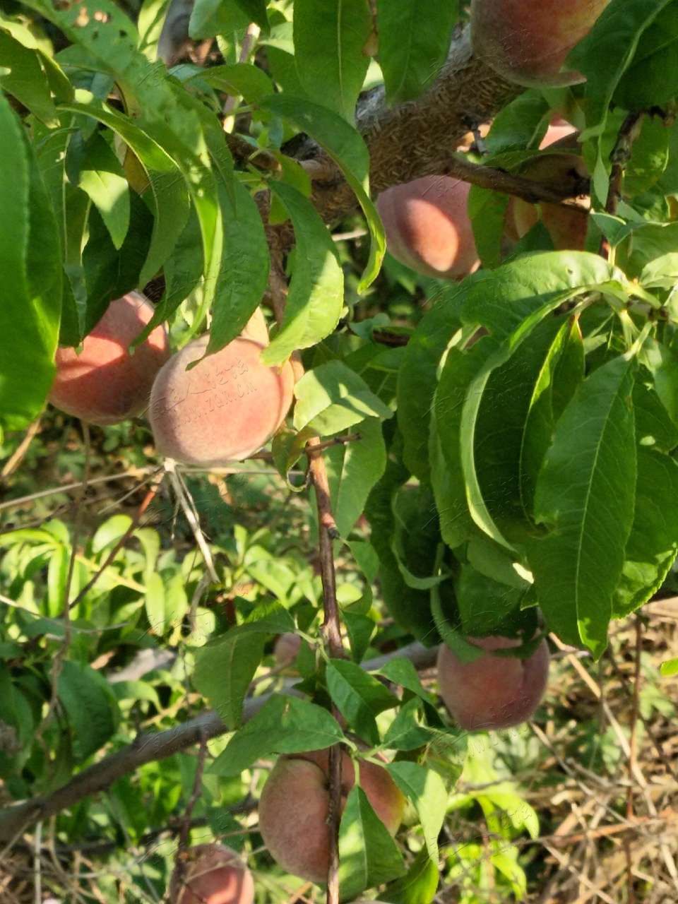 20190706_262668_1562404568162.jpg
