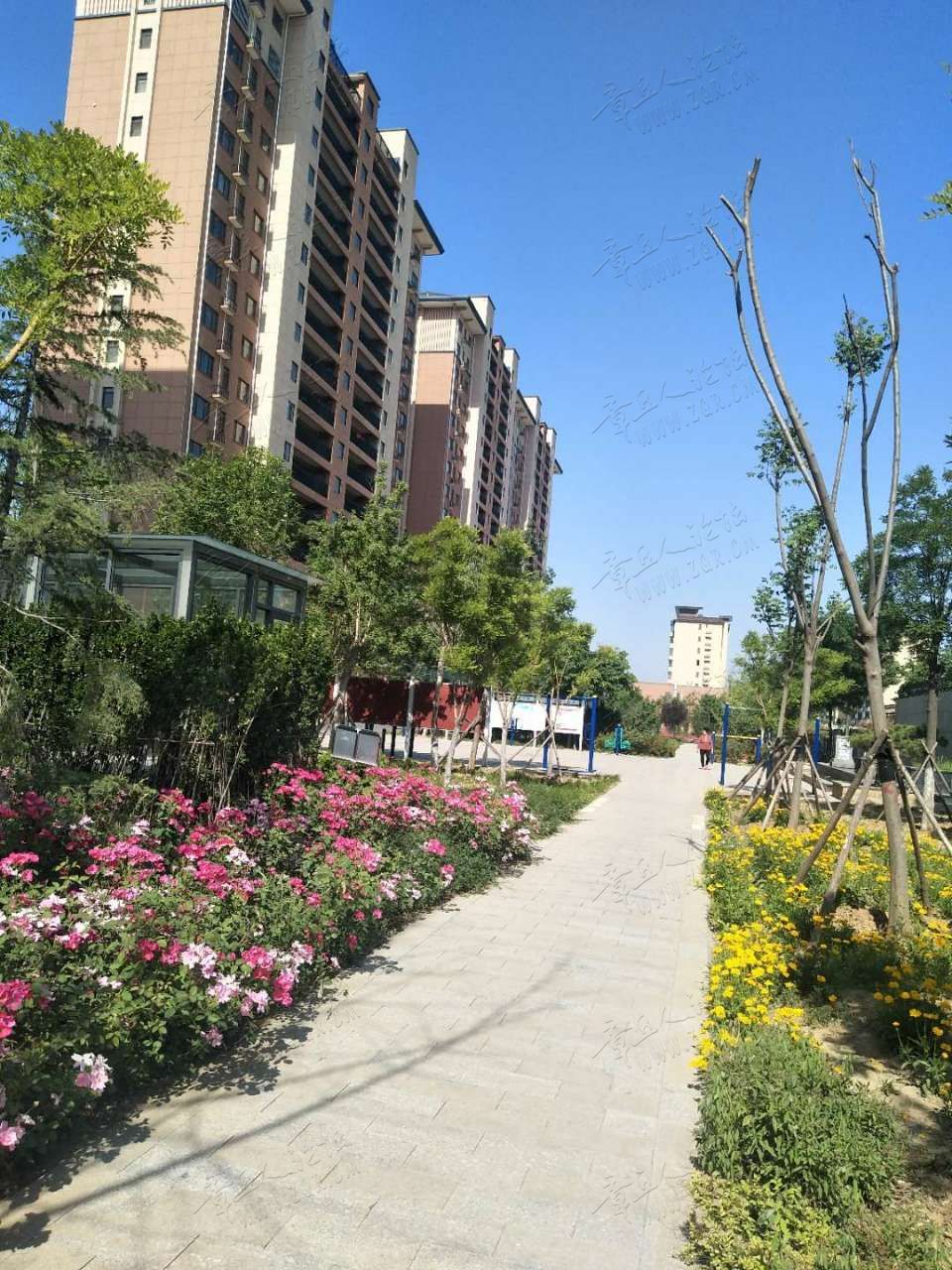 20190707_450383_1562468715111.jpg