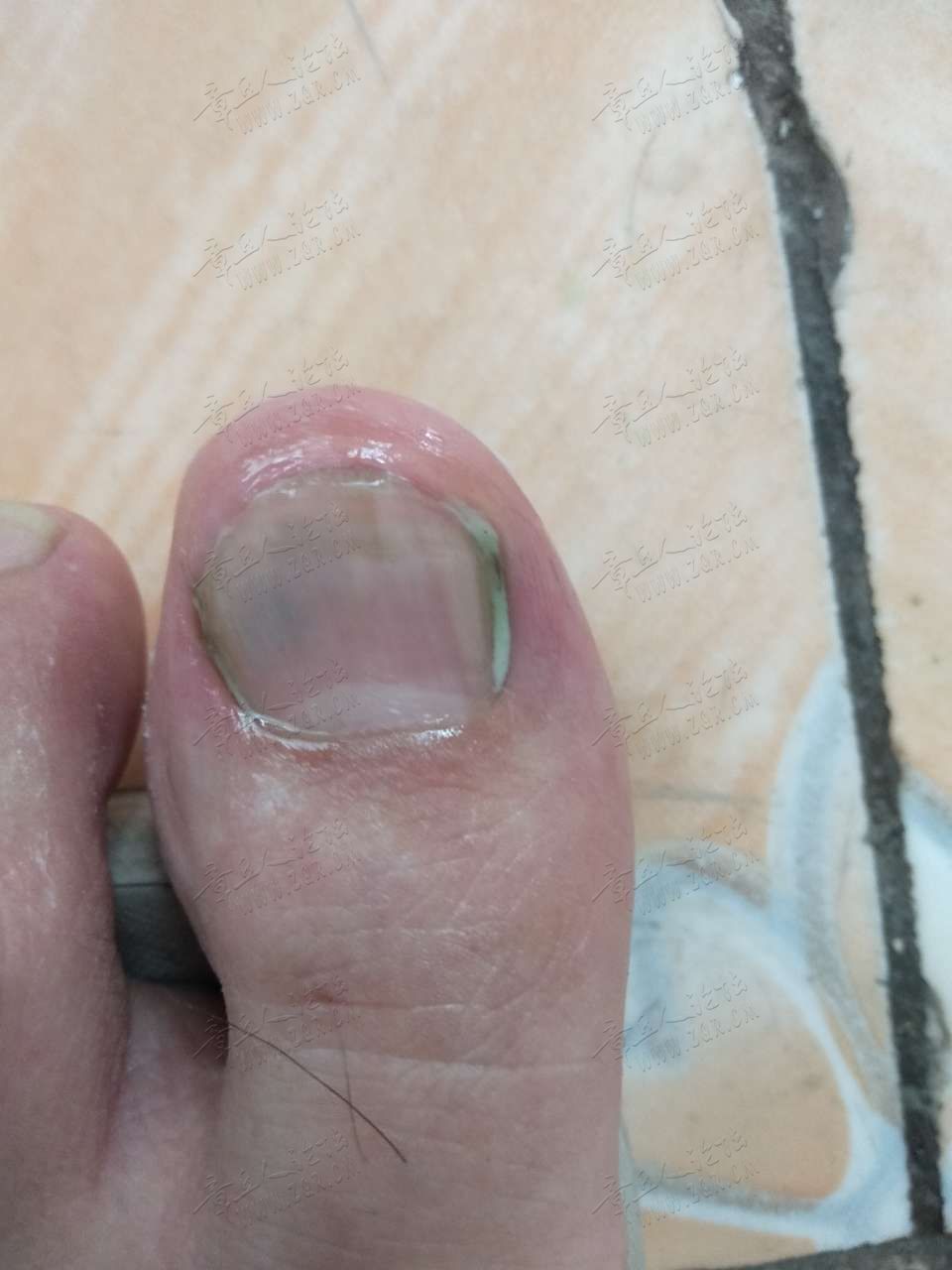 20190707_286699_1562497519006.jpg
