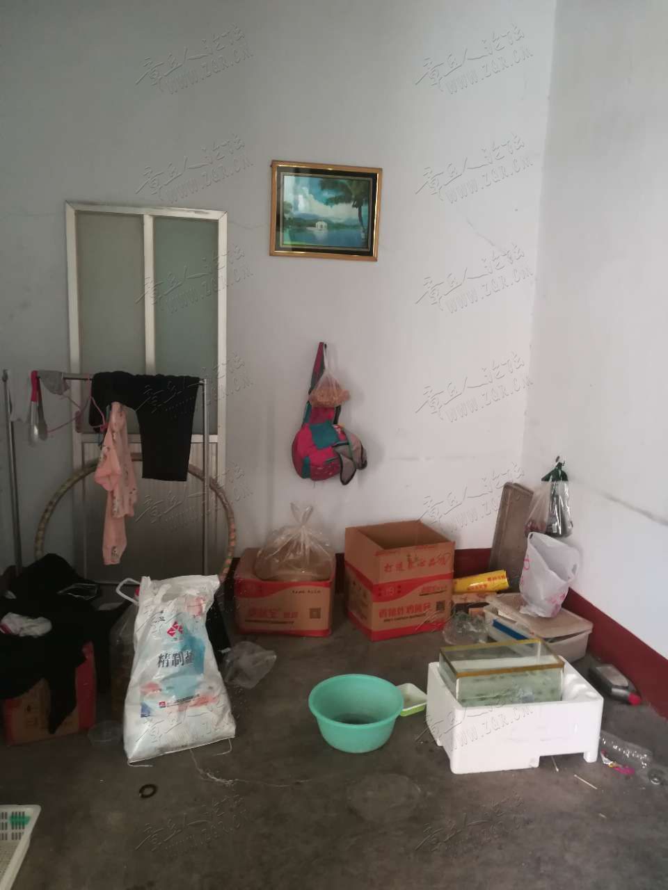 20190710_447988_1562735925515.jpg