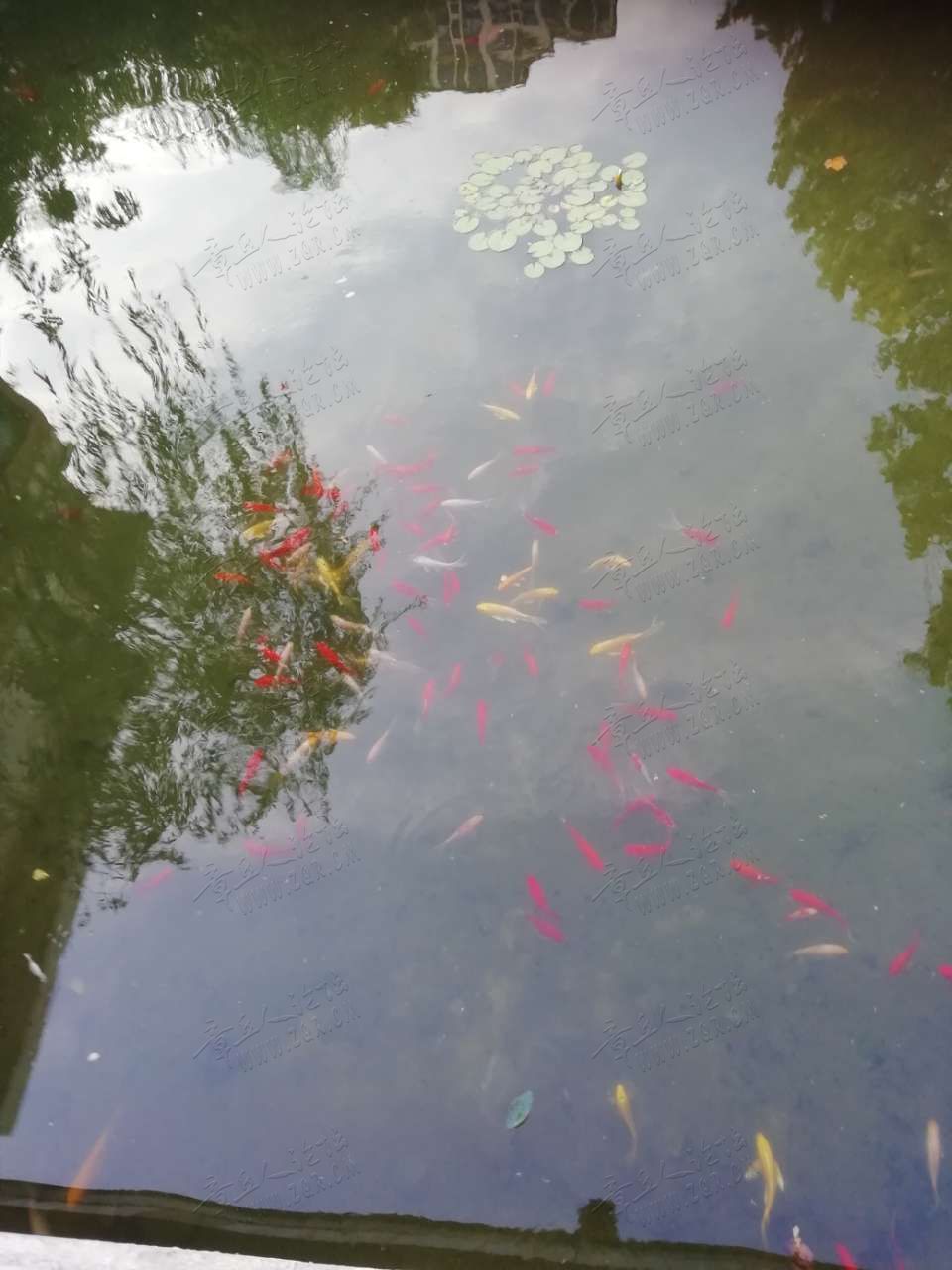 20190713_451893_1562974940413.jpg