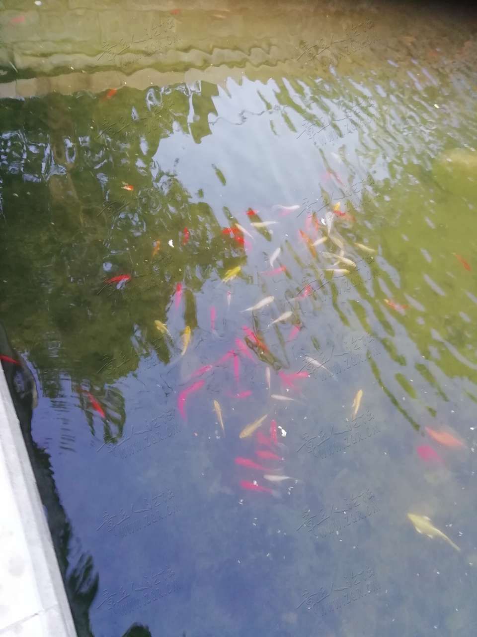 20190713_451893_1562974940051.jpg