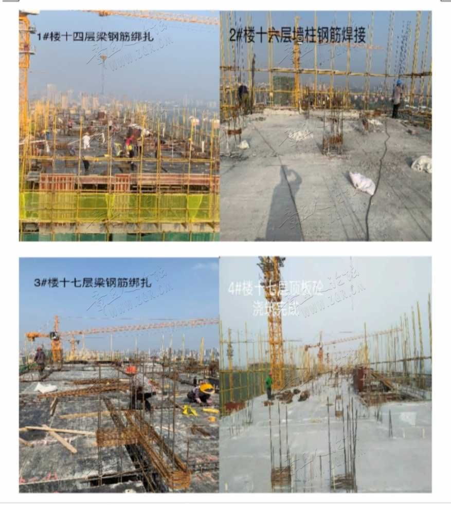 mmexport1564185403366.jpg