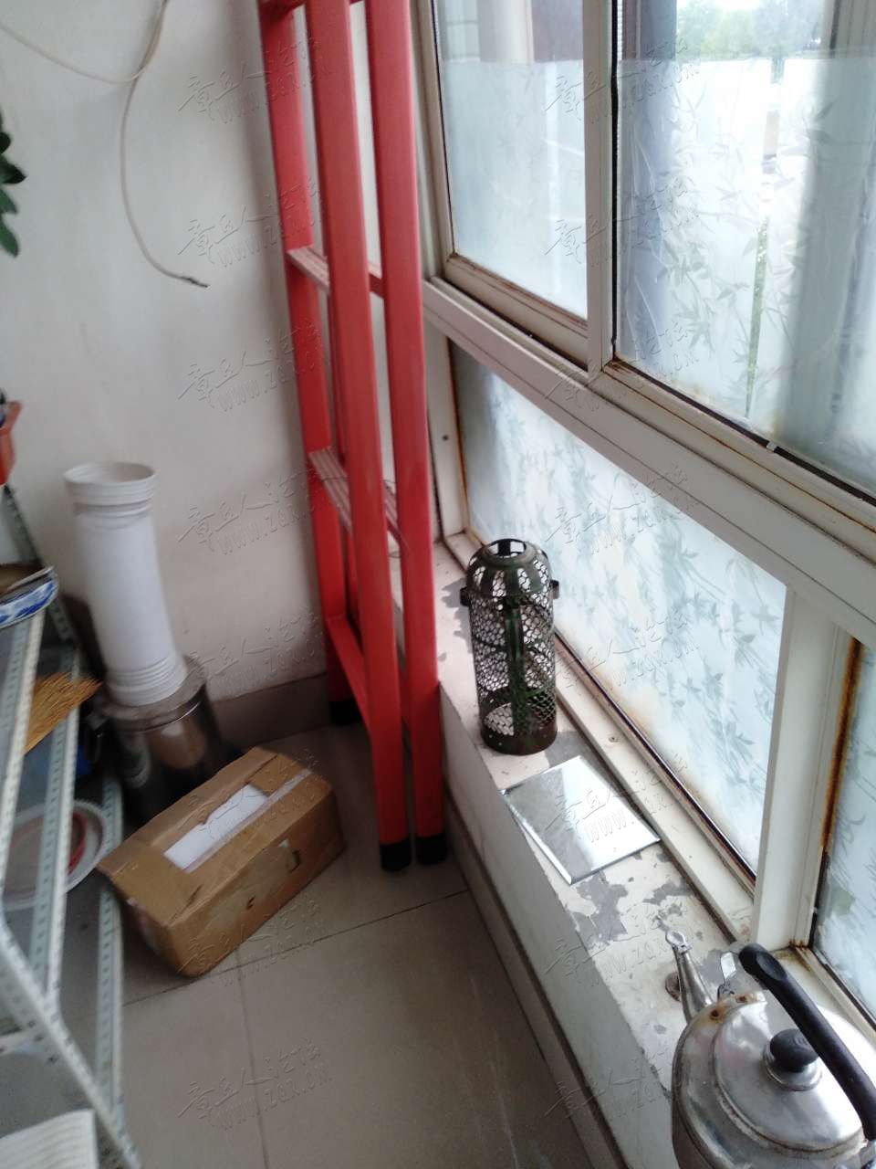 20190808_215486_1565228092511.jpg