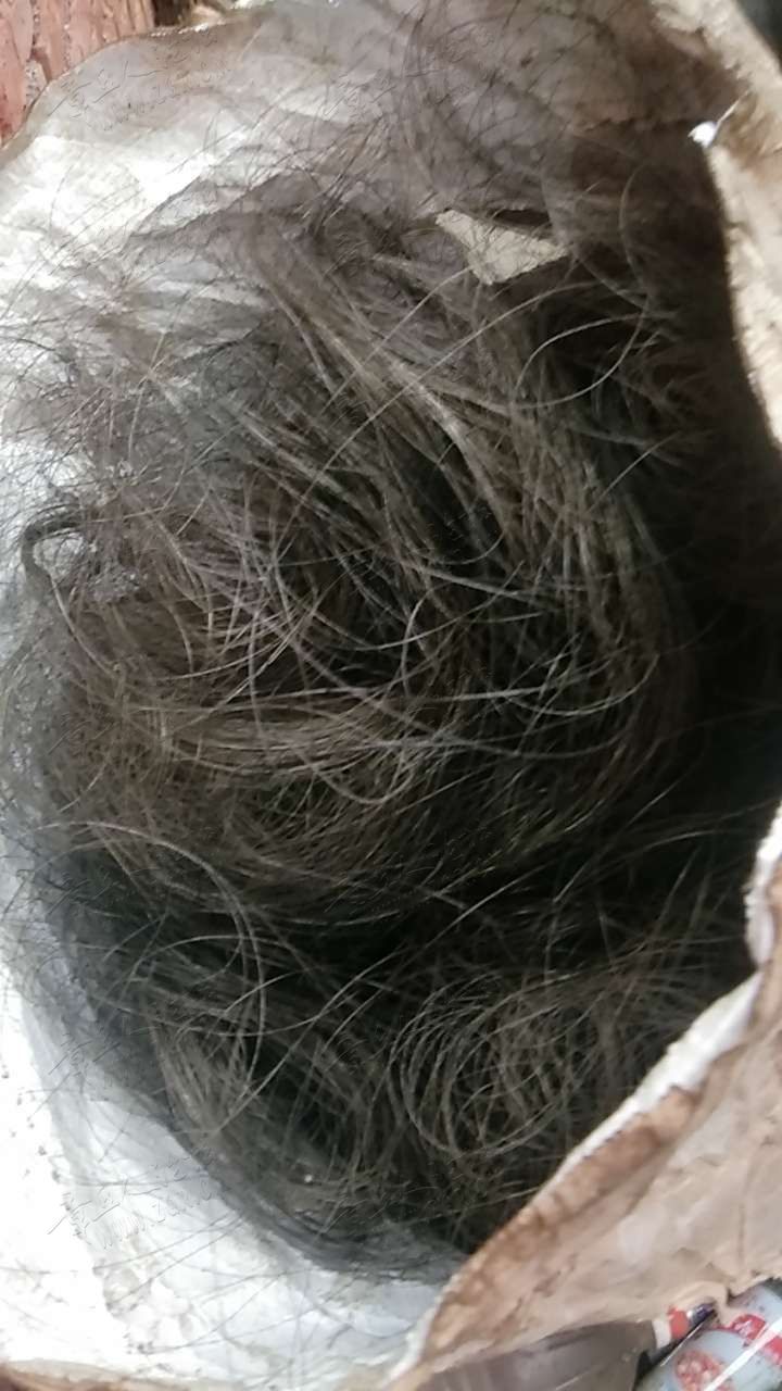 20190813_410840_1565646046782.jpg