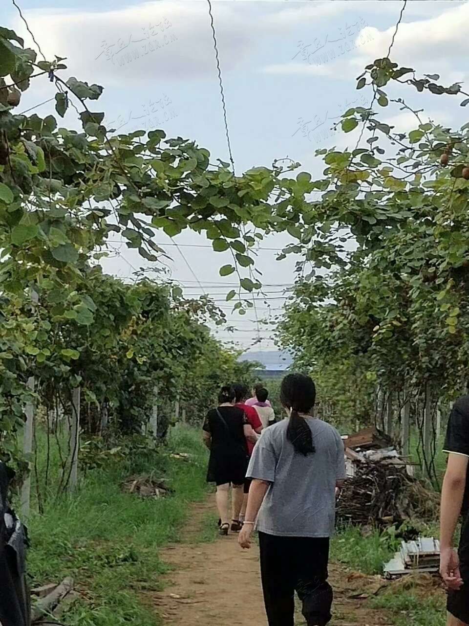 20190819_454951_1566207258333.jpg