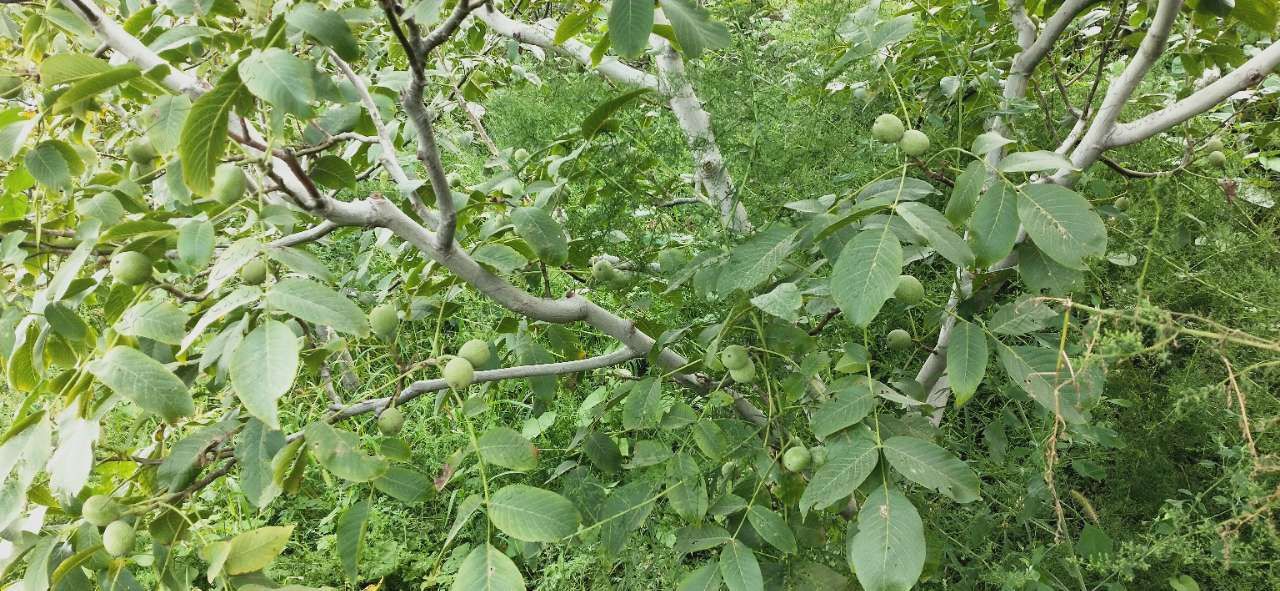 20190821_395721_1566379286707.jpg