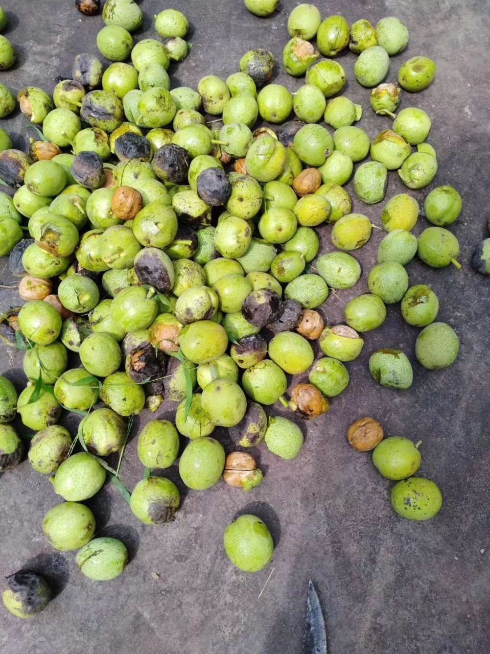 20190822_388303_1566441431795.jpg