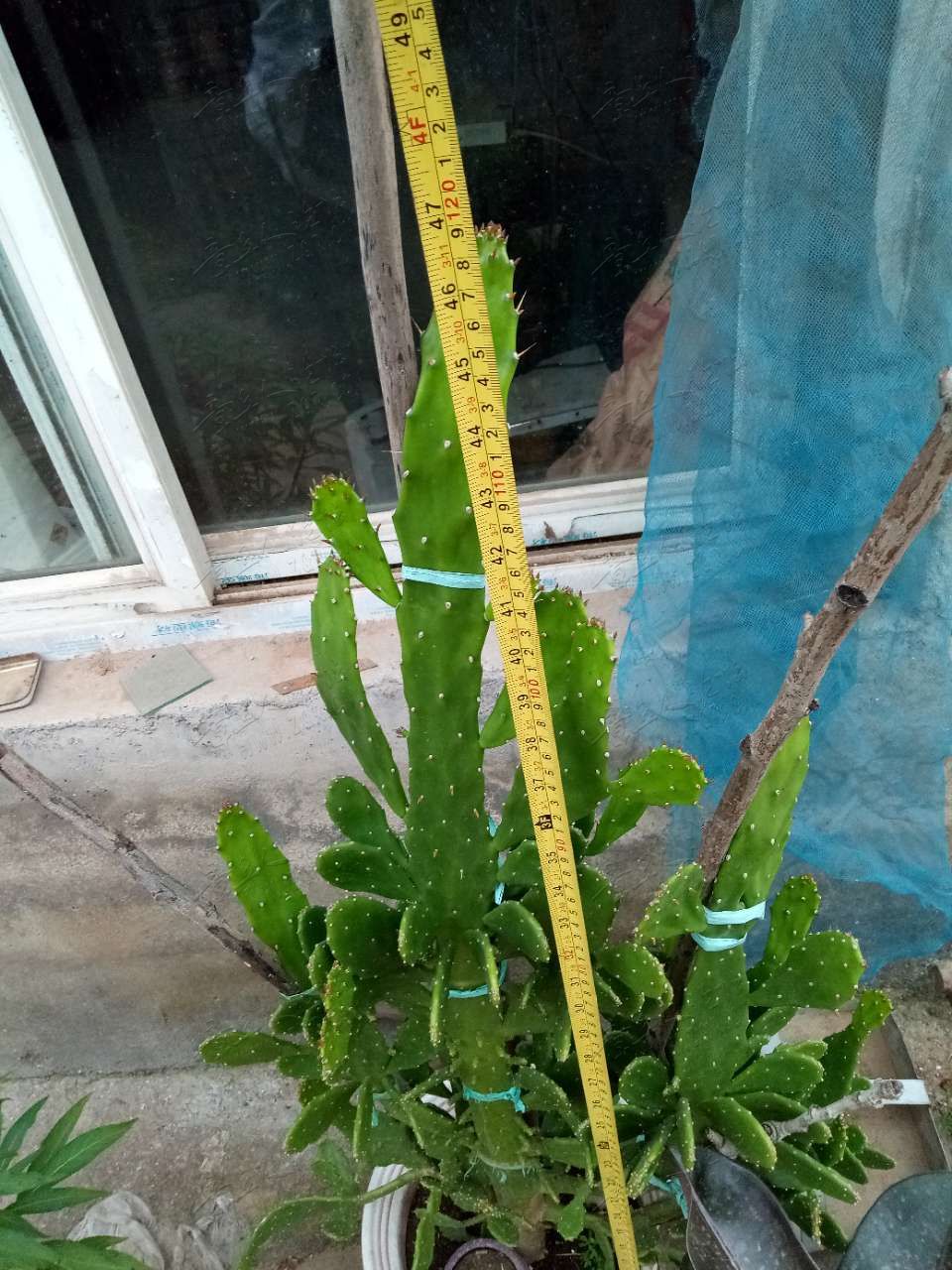 20190826_408457_1566827357131.jpg