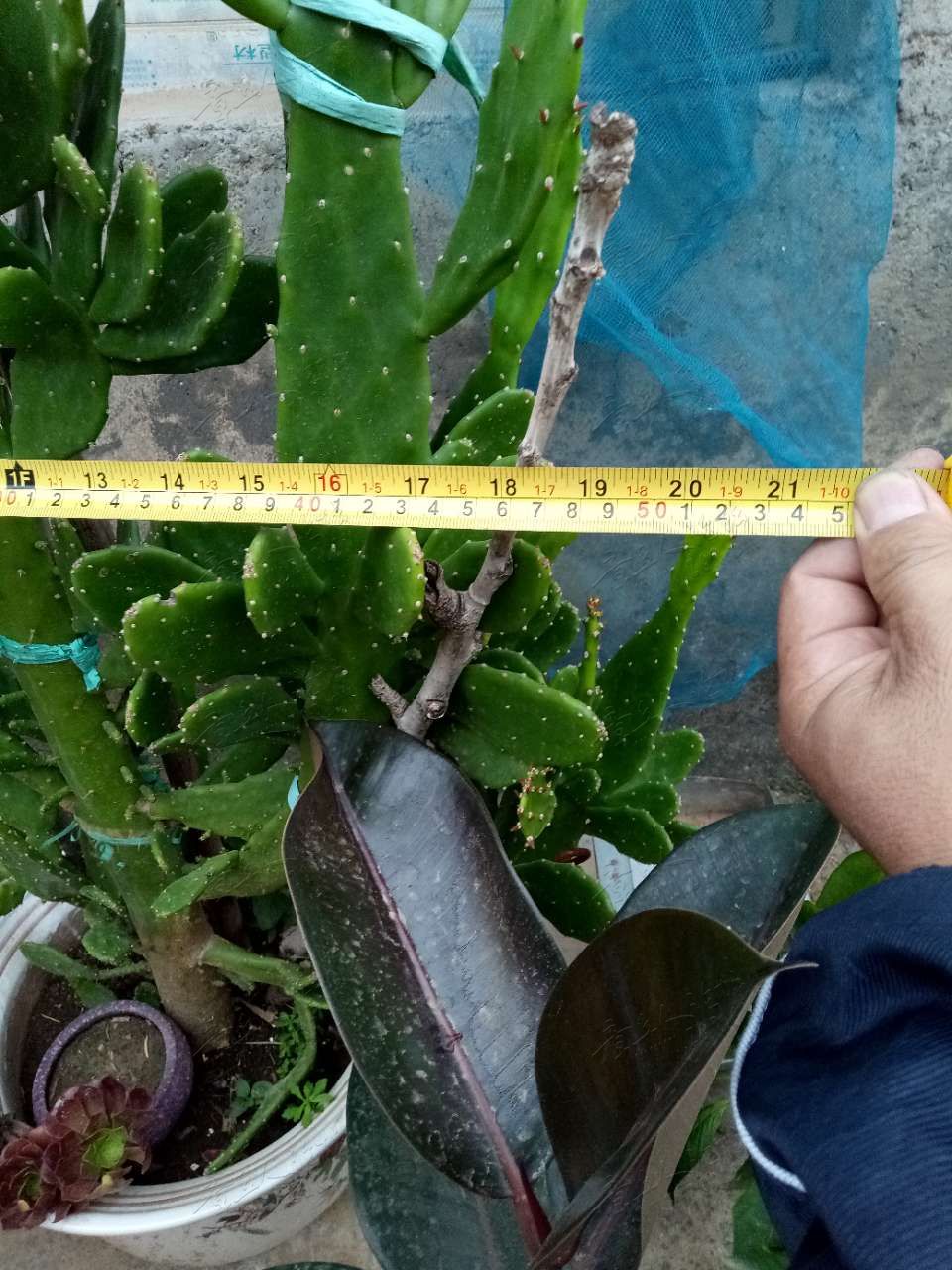 20190826_408457_1566827357747.jpg