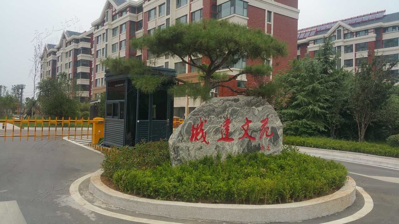 20190825_114318.jpg