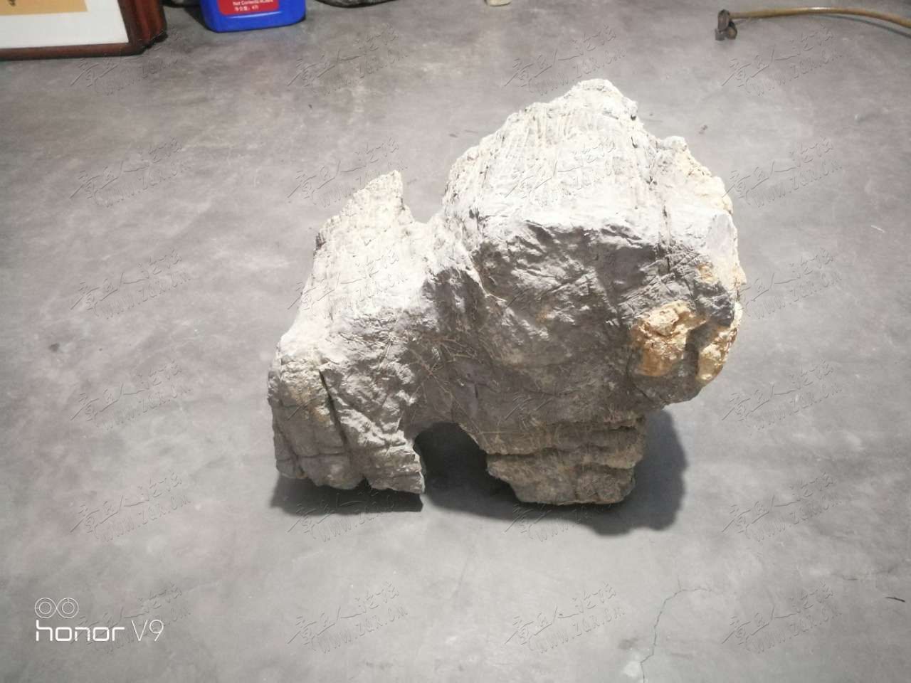 20190830_454965_1567144681497.jpg