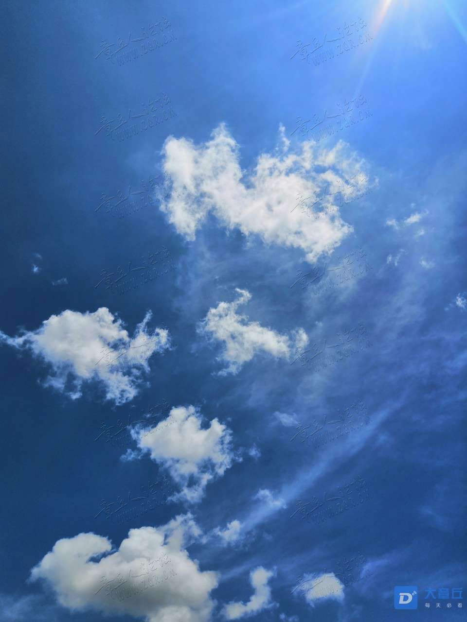 20190902_452785_1567428139456.jpg