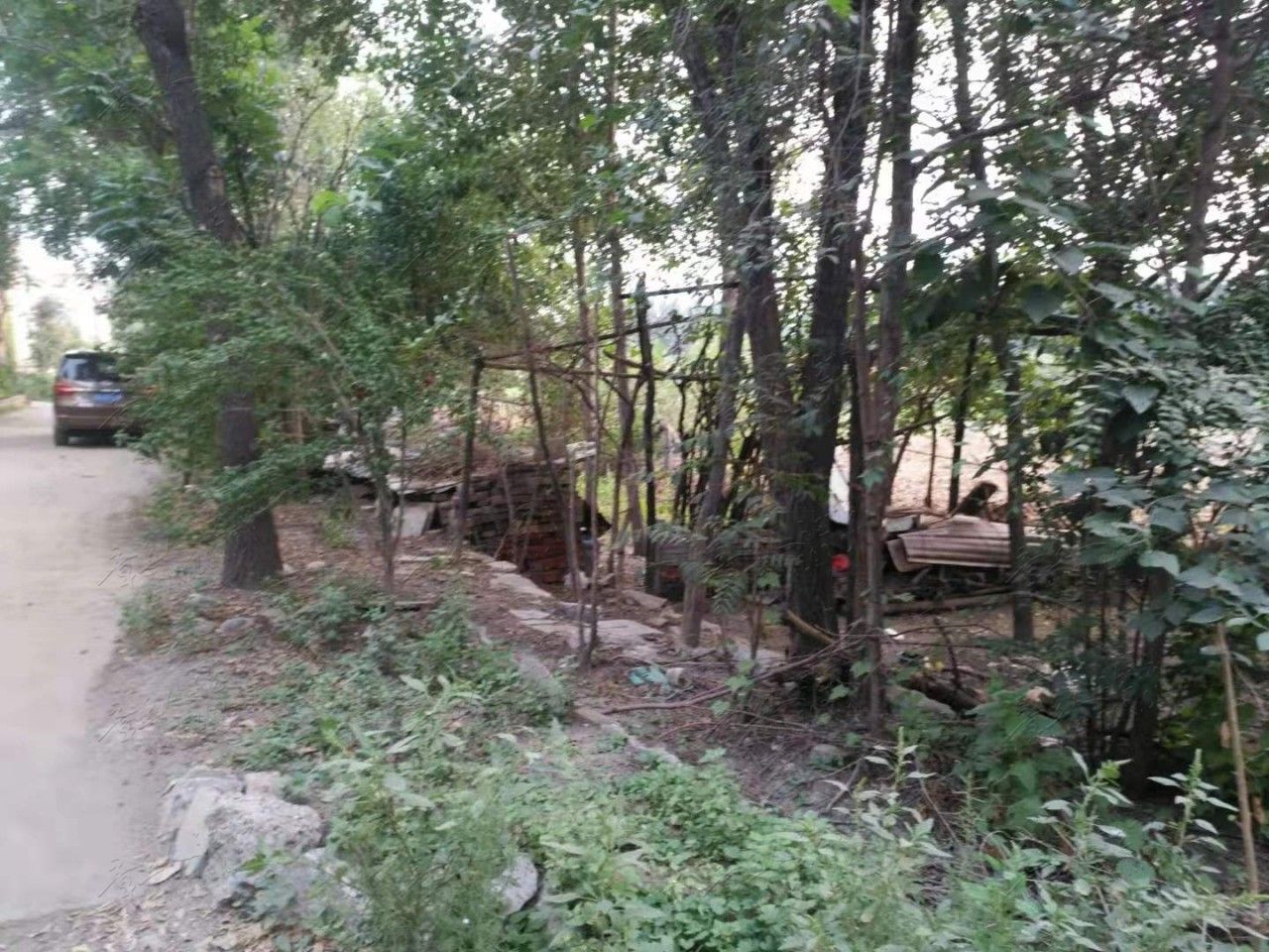 微信图片_20190910094528.jpg