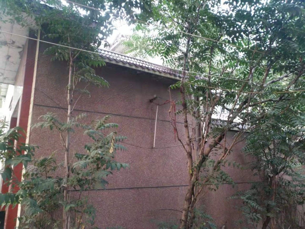 微信图片_20190910094523.jpg