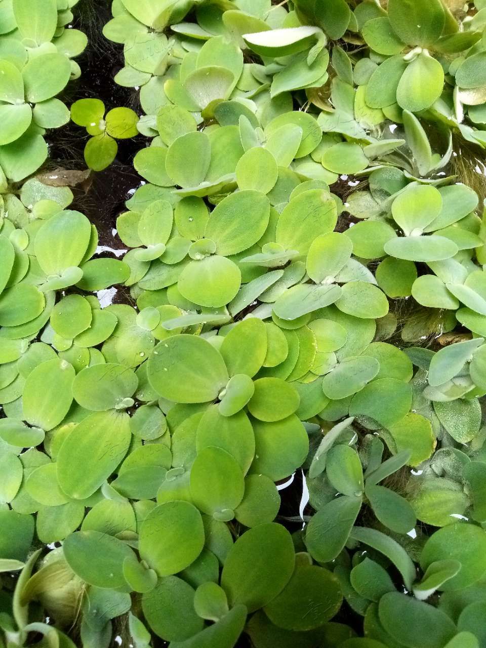 20190914_408457_1568451568008.jpg