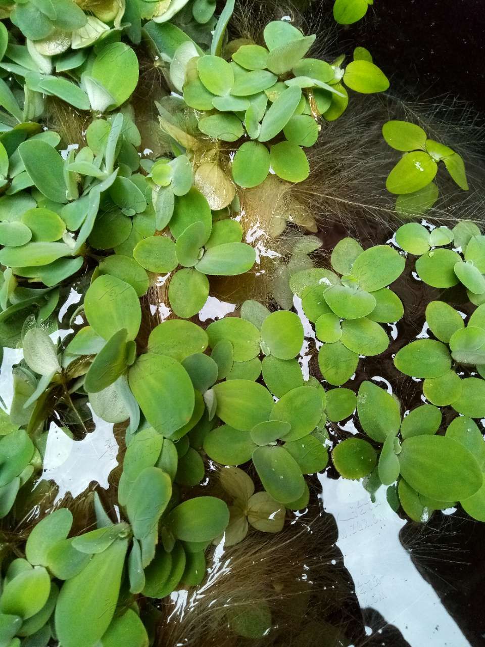 20190914_408457_1568451569862.jpg