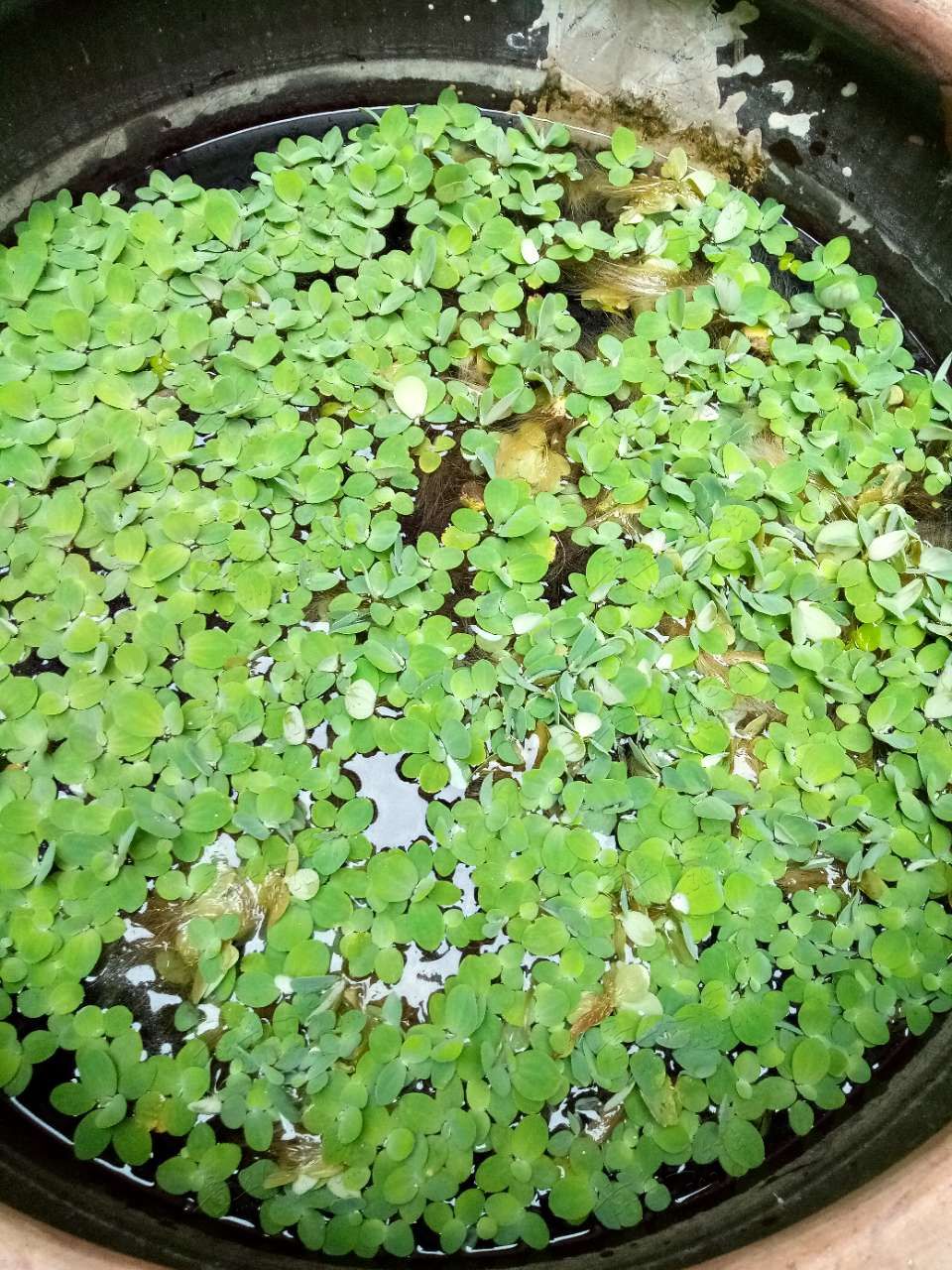 20190914_408457_1568451570637.jpg