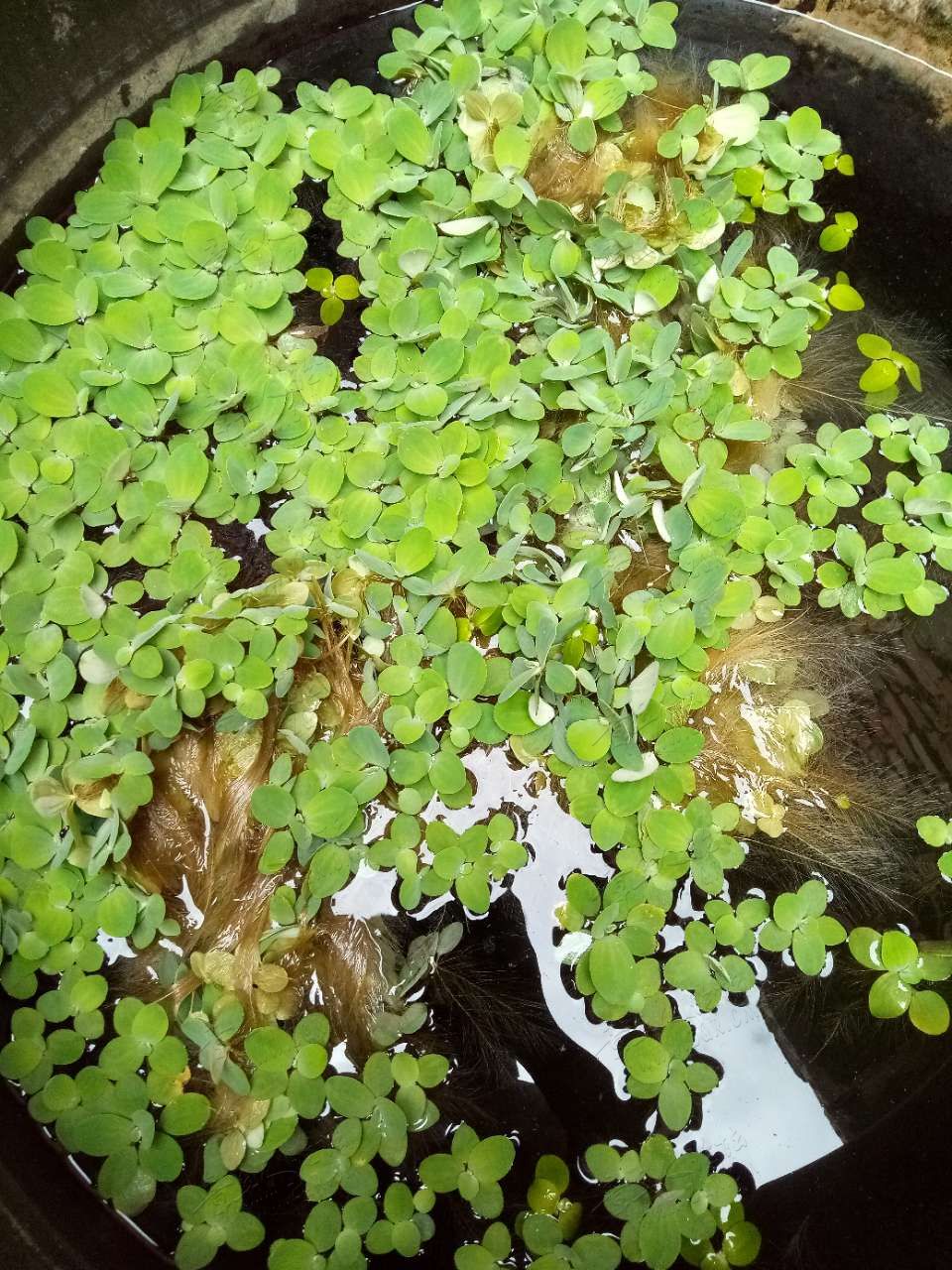 20190914_408457_1568451569223.jpg