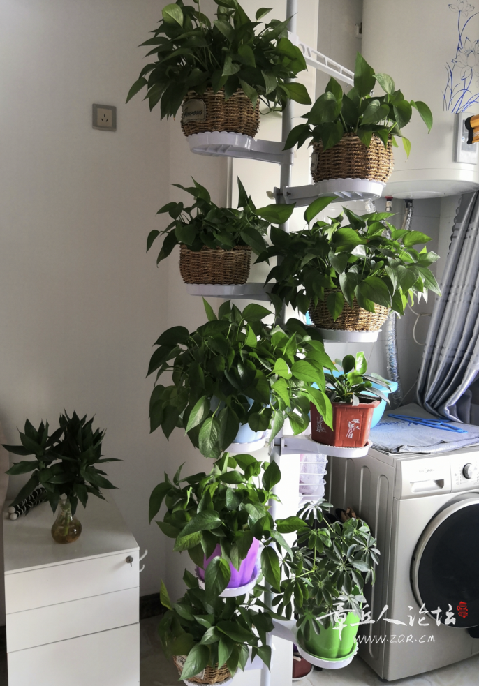 Screenshot_20191003_164700_com.android.gallery3d.png