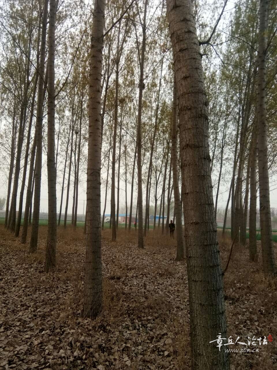 20191007_443729_1570427349909.jpg