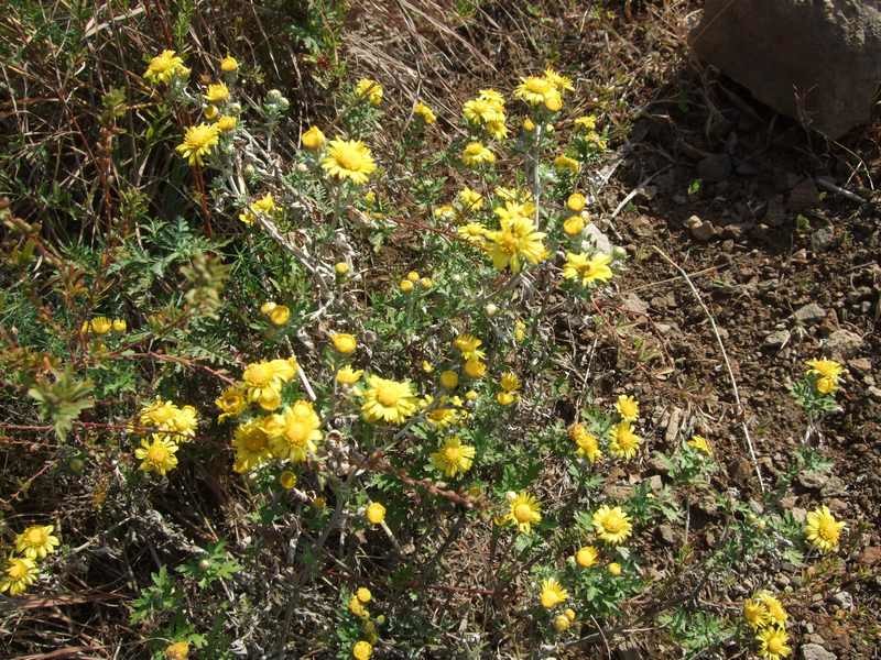 ռ20191013ճĦڭ˳ 073.jpg