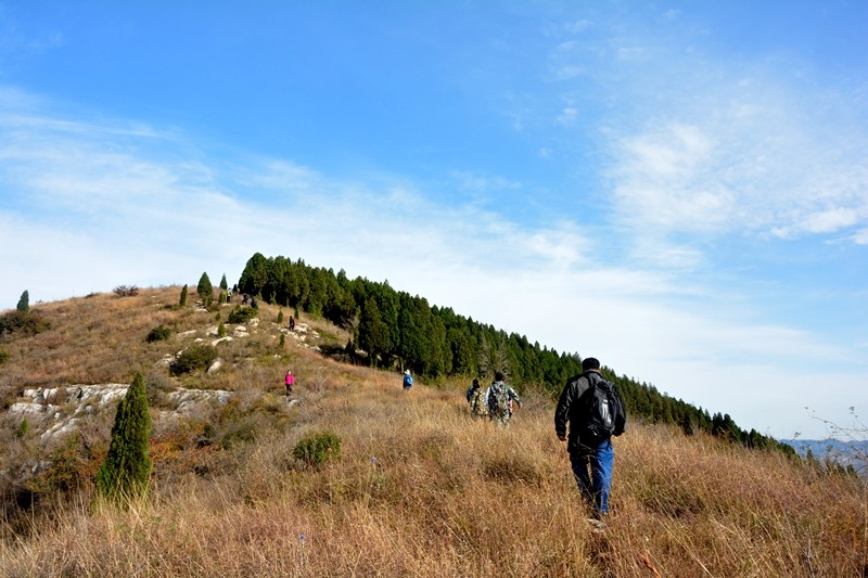 DSC_0151.jpg