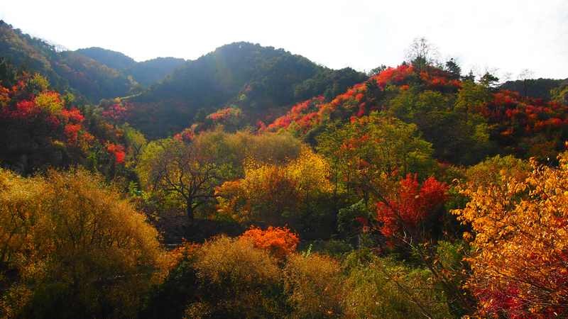 普集户外星期六AA出行济南九如山顺利归来2019.10.19 100.jpg