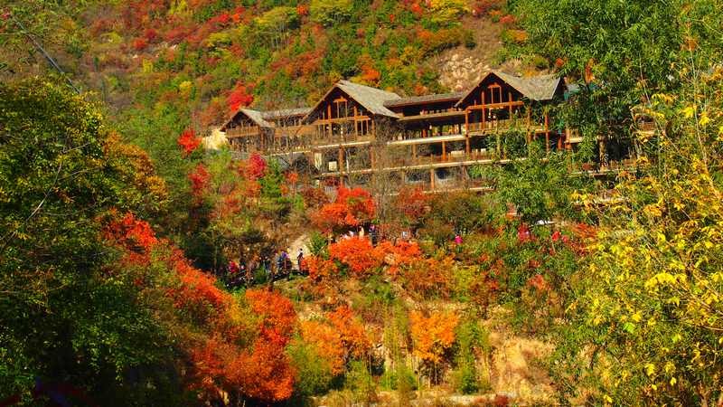 普集户外星期六AA出行济南九如山顺利归来2019.10.19 144.jpg