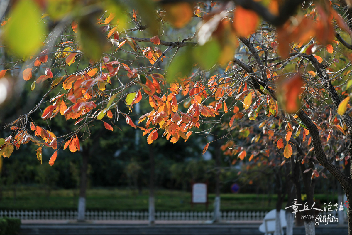 319A4973_副本.jpg