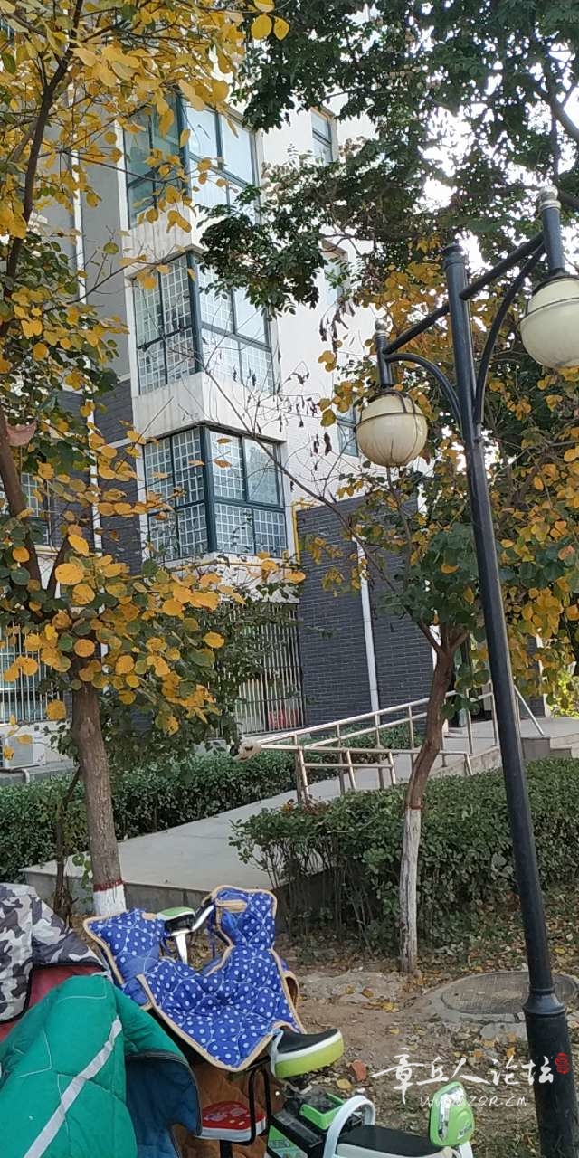 20191102_449570_1572704274853.jpg