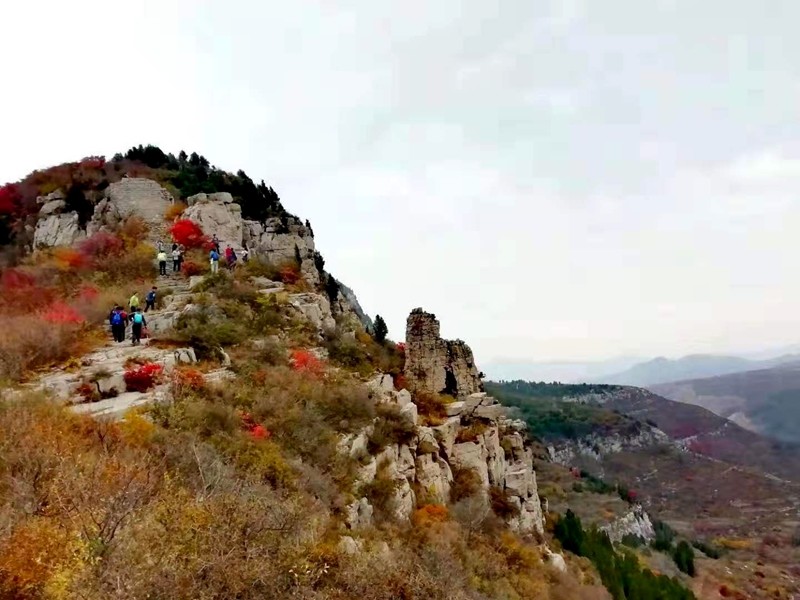 微信图片_20191102202004.jpg