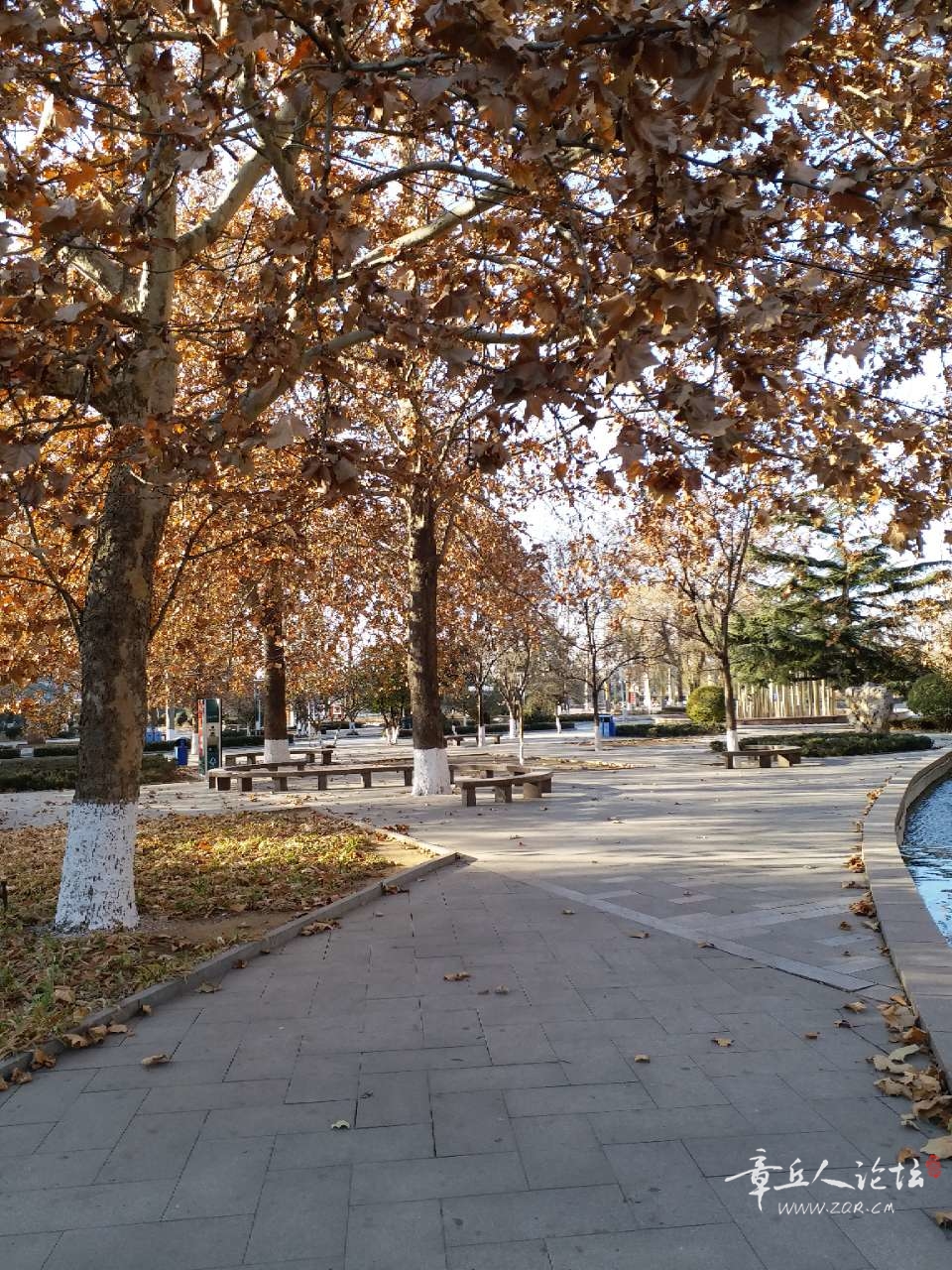 20191103_318706_1572760031663.jpg