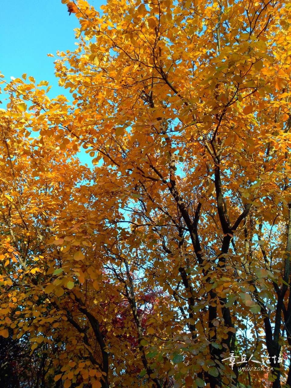 20191104_448359_1572856768801.jpg
