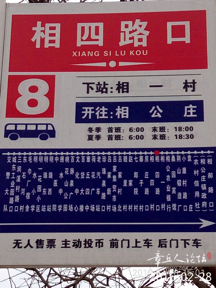 P60228-150117.jpg