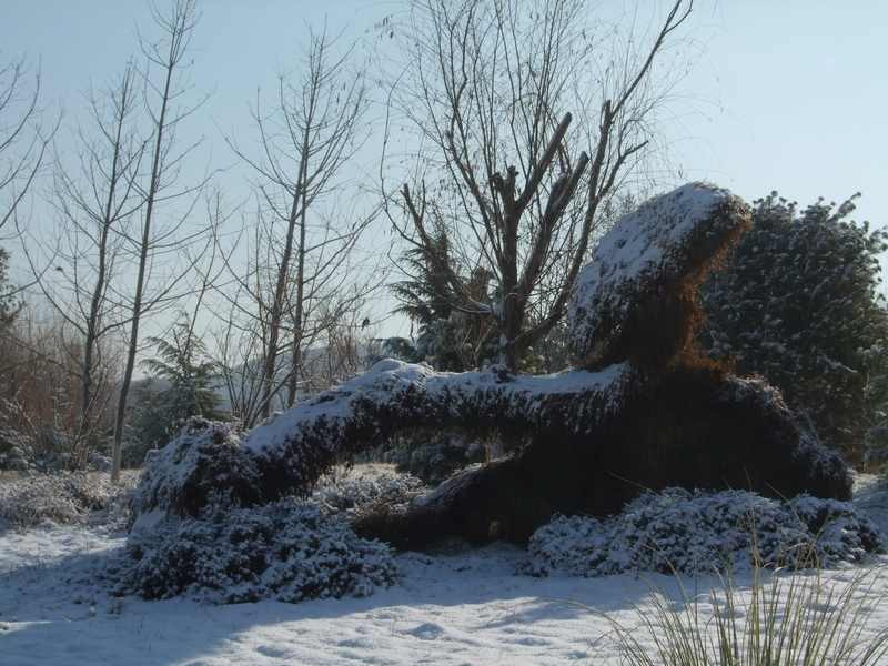 雪景2020.01.08 042.jpg