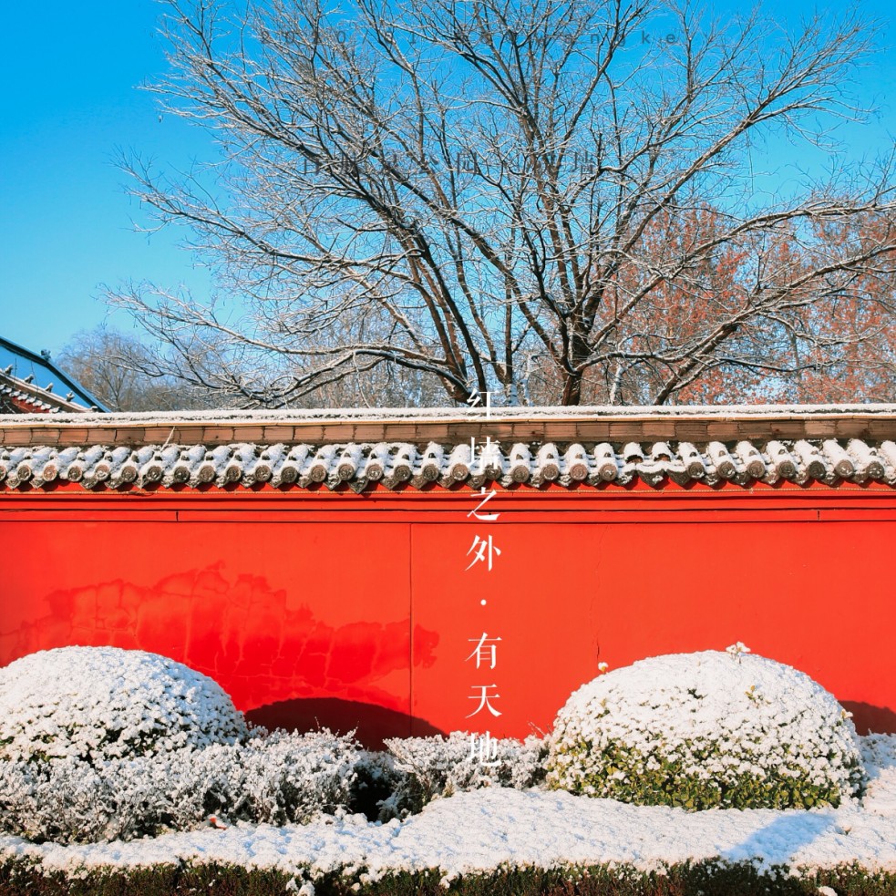 章丘雪景 (7).jpg