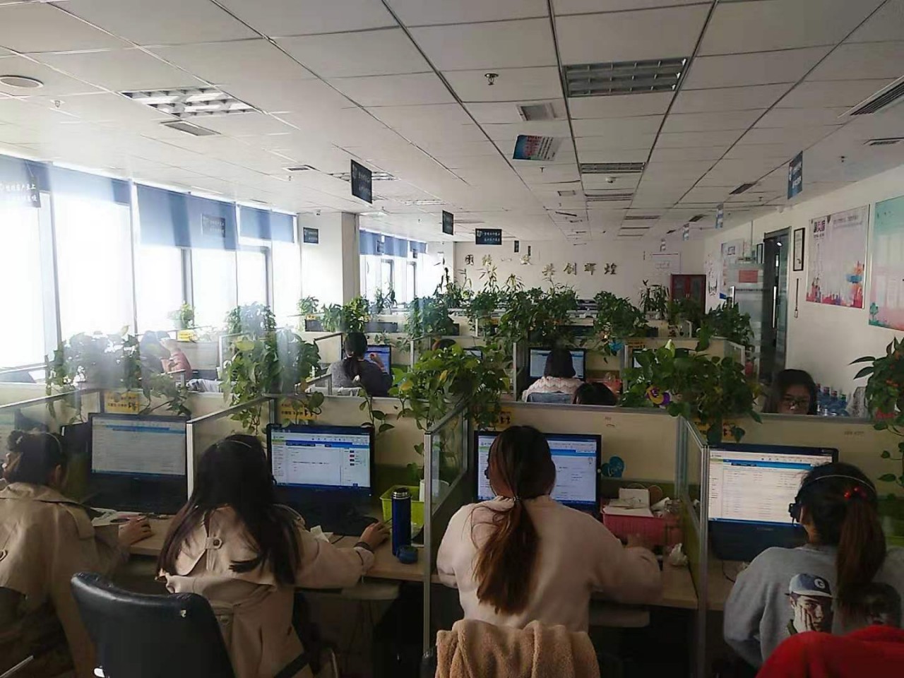 QQ图片20200204101513.jpg