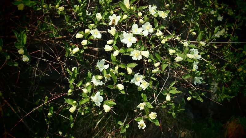 普集户外2020.04.18出行鹤伴山顺利归来 282.jpg