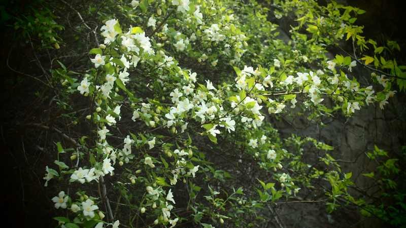 普集户外2020.04.18出行鹤伴山顺利归来 288.jpg