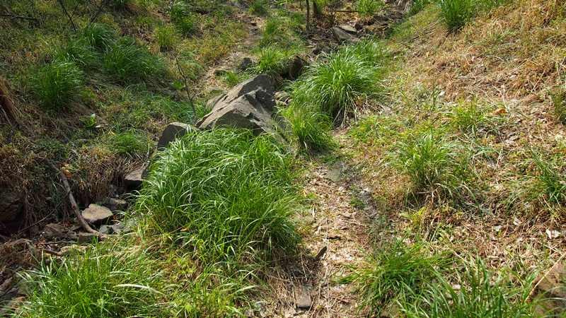 普集户外2020.04.18出行鹤伴山顺利归来 360.jpg